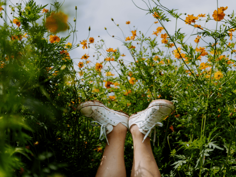 5 Keys to Get Growing in Your Career